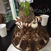 บิงซูดับเบิ้ลชอคโกแลต 175.-