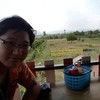 วิวที่เห็นจากภายในร้าน