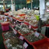 บรรยากาศตลาดอาหารทะเล