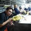 หมี่กระดาษ ตลาดช้างเผือก