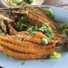 ปลากะพงทอด