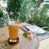 Yuzu Iced Tea vs. Rose Soda