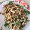 ลาบปลาดุก