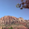 Zion National Park 