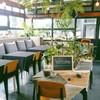 I like the soft tone of the cafe with good amount of green of the plants.
