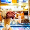Gelato แบบโคน Med €3.50 (128 บาท)