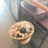 Starbucks พาซิโอ ทาวน์