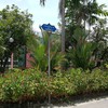 Cafe Noir Ngamwongwan 44