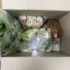 VT แหนมเนือง ซอยสหการประมูล