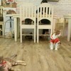 Caturday cat cafe