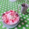 ไอติมต้นมะม่วง