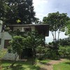 Chiang Dao Nest