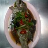 ปลาเก๋านึ่งซีอิ้ว ปลาเก๋านึ่งซีอิ้ว