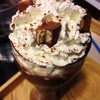 Cocoa Kitkat Cocoa Kitkat