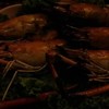 กุ้งเผา