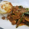 เนื้อนิ่ม เครื่องแกงเผ็ด ใส่นมสด อร่อย recommended ครับ