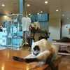 โต๊ะนี้ตัวนี้คุม