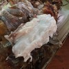 เนื้อปลาขาวๆ อร่อยมาก