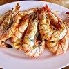 กุ้งลายเสือย่าง