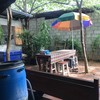 ส้มตำติดปาก พะเยา