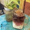 คาลาเมลมัคคิอาโต้ เย็น/กาแฟ คาลาเมลมัคคิอาโต้ เย็น/กาแฟ