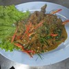 อาหารป่าเผ็ดร้อนถึงเครื่องเทศจ้า