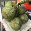 Those coconut so big!!
