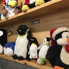 Penguin Eat Shabu Buffet สะพานควาย