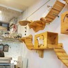 Caturday cat cafe