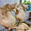 ไก่ต้ม.
