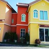 สีสันสดใส