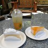 Tree Park Coffee แพร่