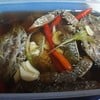 ปูม้าดองน้ำปลา