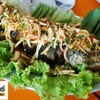 ปลาช่อนลุยสวน ปลาช่อนลุยสวน