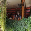 ร้านร่มรื่นมากๆ 