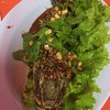 ปลาช่อนน้ำตก ใหญ่ ปลาช่อนน้ำตก ใหญ่