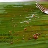 ก่อนหม่ำๆ ก็เอาน้ำมันกระเทียมทาใบตองรอไว้ก่อนเลย