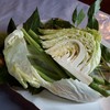 ผัก