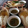 สวนอาหารไทรทองริเวอร์