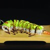 Caterpillar Caterpillar