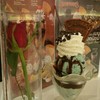 (Mint Chocolate Chip)