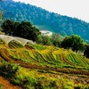 โครงการหลวงหนองหอย