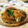 ปูอบวุ้นเส้น🤤