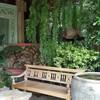 Tree Park Coffee แพร่