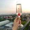 Sky View
