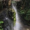 สวนสัตว์เปิดเขาเขียว (เขาเขียวไนท์ซาฟารี)