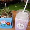 นมเผือกนมสด ราคา 25 บาท