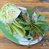 ฟรี