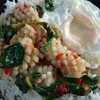 ข้าวกระเพราหมึกไข่ดาว ข้าวกระเพราหมึกไข่ดาว
