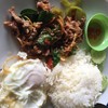 กวางนิ่มมาก